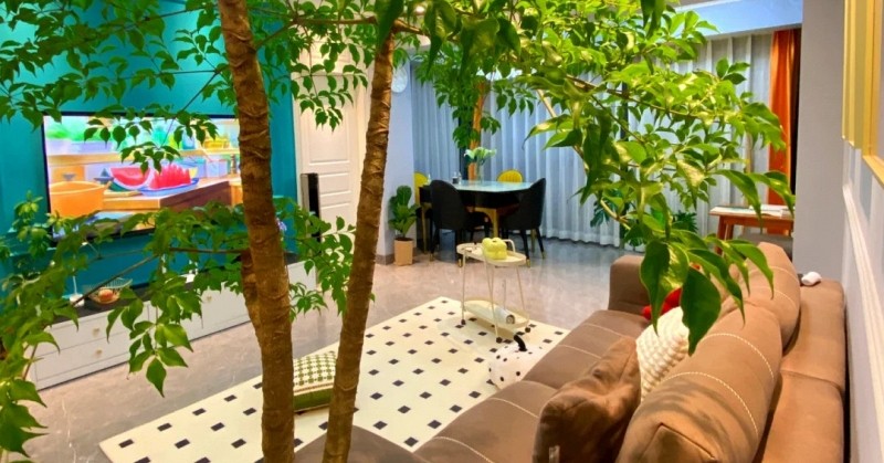 Không phải ngẫu nhiên mà 9/10 nhà khá giả đều đặt thứ này ở phòng khách: Vừa đẹp sang, vừa mang vượng khí cho gia đình