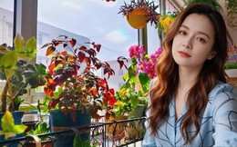 Ban công 3m² của người phụ nữ 45 tuổi gây sốt: Trồng vài chậu cây đơn giản mà biến nhà thành nơi muốn về sớm mỗi ngày