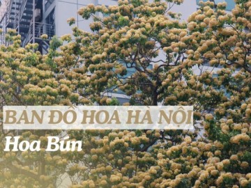 "Bản đồ" hoa tháng 4 Hà Nội: Hoa bún nở rộ, ngoài cây 300 tuổi còn góc check-in nào?