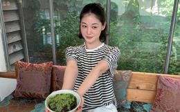 Cách tiết kiệm bị nhiều người chê “ngớ ngẩn” đã giúp tôi tích lũy hơn 3 tỷ đồng trong 6 năm