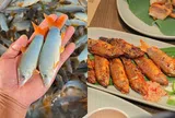 Sản vật miền Tây mùa nước nổi có tên dễ nhầm lẫn, thịt béo chắc, giá cả triệu đồng 1kg mà nhiều người tranh mua