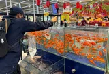 Siêu thị ở TP.HCM nhập cuộc bán cá chép cúng ông Công ông Táo