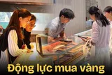 Mua nhà thì quá sức, đầu tư lại chẳng hiểu gì, chỉ có mua vàng mới giúp dân công sở cảm thấy khá hơn