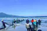 Du khách thích thú xem ngư dân kéo cá trên biển Đà Nẵng