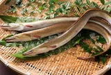 Loài cá đặc sản ở Việt Nam có thân dài như rắn, trong bụng chứa "báu vật" đại bổ, giá lên tới 9 triệu đồng/kg