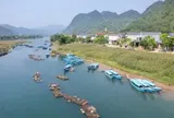 Cá trắm sông Son: "Đặc sản" nuôi lớn miền di sản Phong Nha