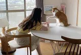 30 tuổi chưa mua được nhà, có lẽ tôi chỉ đủ sức nuôi nổi bản thân
