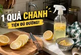 Từ thứ hay bị mốc trong tủ lạnh, chanh giờ trở thành “trợ thủ” số 1 trong căn bếp của tôi: 15 công dụng vừa sạch nhà vừa đỡ tốn tiền