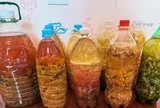 Tôi thử dùng giấm trắng để trồng cây sau khi đọc chia sẻ trên mạng và bất ngờ vì 7 công dụng vừa tiết kiệm vừa hiệu quả