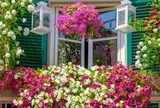 Không phải mê tín, giờ mới biết vì sao nhà giàu trồng 3 loại hoa "phá tài, phá lộc" này