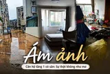 Hối hận ngập tràn vì mua căn hộ tầng 1 có sân riêng: Chỉ sau 6 tháng đã phải bán lỗ, bài học đắt giá từ giấc mơ “nhà vườn giữa phố”