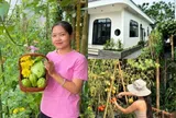Xuất khẩu lao động trở về quê, mẹ bỉm U30 Quảng Trị tích luỹ gần 1 tỷ xây căn nhà có khu vườn đẹp mê