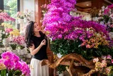 Người phụ nữ gây sốt với “phòng khách hoa lan” hơn 1.000 chậu: Không gian ngập sắc hoa khiến ai nhìn cũng muốn ngắm mãi