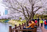 Cách nào giúp khách Việt xin được visa Hàn Quốc 10 năm