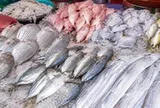 5 loại cá đang vào vụ, thịt ngon nhất năm: Người bán cũng ưu tiên mang về ăn