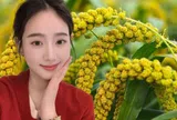 Loại hạt nhỏ xíu được ví như "ngũ cốc vàng": Ăn đều giúp giữ dáng, trẻ lâu, da đẹp thấy rõ