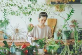 Người phụ nữ U40 biến căn bếp thành “khu vườn xanh” với hơn 30 loại cây: Mỗi sáng thức dậy đều thấy cuộc sống đáng yêu hơn