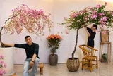 Từ chỗ phản đối chồng chi gần 11 triệu đồng mua cây hoa giấy, tôi lại thành người ngắm nó "800 lần mỗi ngày": Hóa ra có những thú chơi càng ngắm càng thấy đáng tiền