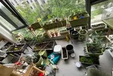 Chồng than phòng khách biến thành "vườn rau", 2 tháng vẫn chưa được ăn gì: Trào lưu trồng rau tại nhà có thật sự "dễ như lời đồn"?