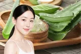 5 cách làm đẹp với nha đam giúp da bớt khô ráp, giảm cảm giác nóng rát ngày Hè