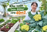 Khu vườn 40m² trên sân thượng ở TP.HCM: Rau xanh ăn quanh năm, chiều nào gia chủ cũng lên “xả stress”