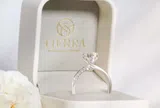 Quà 20/10 cho người yêu lãng mạn, ngọt ngào