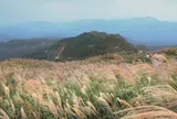 "Thiên đường cỏ lau" cách Hà Nội 300km bắt đầu khoe sắc, khách đi 3 lần vẫn mê