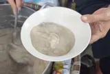 Quán cháo 40 năm thu hút du khách ở Hải Phòng
