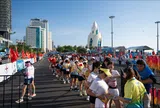 Tiền Phong Marathon 2026 giữ vững sức hút, Nestlé MILO tiếp tục đồng hành lan tỏa tinh thần thể thao