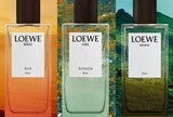 Top 3 mùi hương Elixir đình đám trong bộ sưu tập Landscape của Loewe