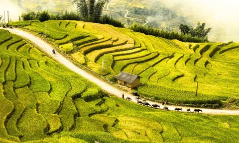 Khám phá cao nguyên cách Hà Nội 200km, cảnh núi non chẳng khác trời Âu, thử sức với đặc sản nghe nhắc tên đã “nhăn mặt”