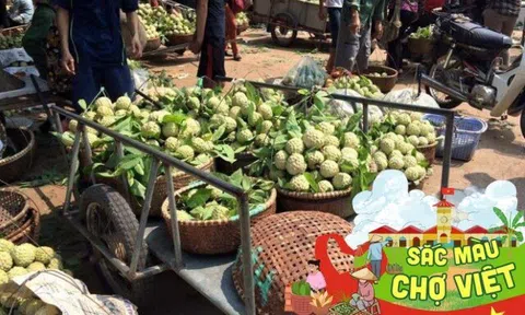 Về Lạng Sơn đi khu chợ chỉ bán đúng một loại quả mà vẫn hút hàng nghìn người đến mua