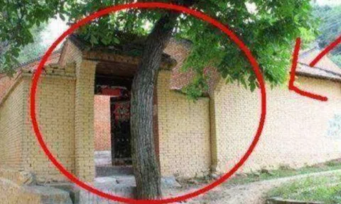Trước nhà phạm "tứ kỵ" thì tài lộc sớm đội nón ra đi, gia chủ không ốm đau cũng hao tài