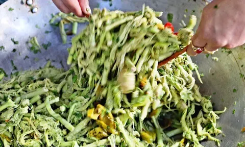Thứ rau lạ chỉ có trên rừng, hái về làm nộm thành món ngon chỉ có ở Lai Châu
