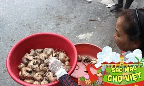 Về khu chợ độc nhất vô nhị ở Hải Phòng, chỉ bán một loại thịt "rùng rợn" mà cực kỳ đông khách