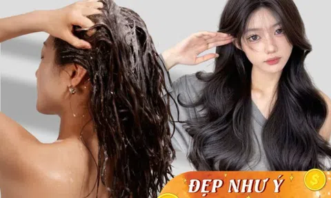 Chuyên gia chỉ ra 3 loại dầu gội dùng nhiều khiến tóc thêm mỏng, khô và gãy rụng, không thay đổi có ngày phải cấy tóc