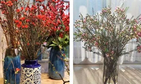 Loài hoa đánh thức tài lộc, cắm trên bàn thờ "đúng lễ nghi, chuẩn phong thủy", bề trên hài lòng!