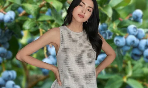 Loại quả được "phu nhân hào môn" Tăng Thanh Hà yêu thích, hoá ra chứa công dụng thần kỳ không phải ai cũng biết