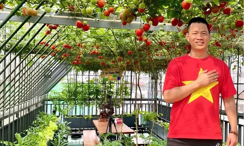 Gửi rau thay lời cảm ơn: Ông bố Hà Nội biến sân thượng thành vườn, tặng nông sản cho người ủng hộ thiện nguyện