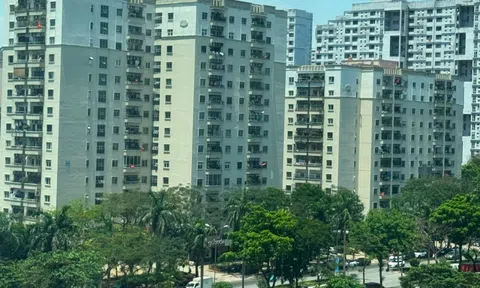 Sau khi đổi 3 căn chung cư, tôi nhận ra: Đừng chỉ chọn hướng, đây mới là 4 điểm vàng cần lưu tâm, chọn đúng thì sống sướng, bán dễ
