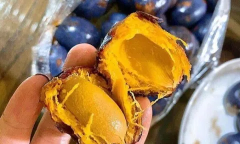 Loại quả xưa bị chê quê mùa rụng đầy gốc không ai nhặt nay lại thành đặc sản bán được giá, gợi lại cả hương vị của tuổi...