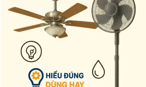 Quạt trần và quạt cây: Loại nào hiệu quả và tiết kiệm điện hơn trong phòng rộng?