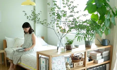 Ông bà dặn lại: Trồng nhầm cây này trong phòng ngủ dễ thất thoát tiền bạc mà không hay