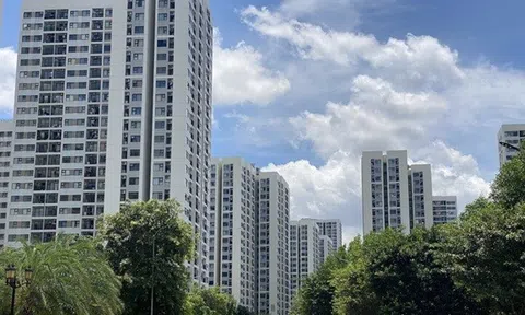 Chuyển từ căn hộ studio sang căn 1 phòng ngủ: Chỉ sau 1 lần đổi không gian sống, tôi mới hiểu sự khác nhau lớn đến thế nào