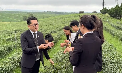 Hành trình trải nghiệm tinh hoa văn hóa trà Việt đầy mới mẻ, ấn tượng