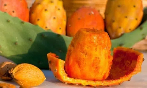 Loại quả trên cây gai góc người Việt ít để ý tới lại được bán ở siêu thị nước ngoài, chứa nhiều chất tốt cho sức khỏe