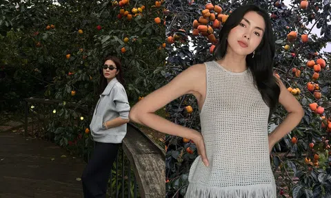 Ở Đà Lạt có một quán cà phê khiến Tăng Thanh Hà “phải lòng”: Hồng sai rợp trời, đẹp như một giấc mộng