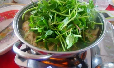 Loại rau xưa bị coi là "rác" nay thành đặc sản chị em thành phố lùng mua, 120.000đ/kg bán vẫn "đắt như tôm tươi"