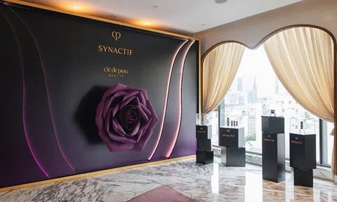 Synactif - Thời khắc của những đoá hồng