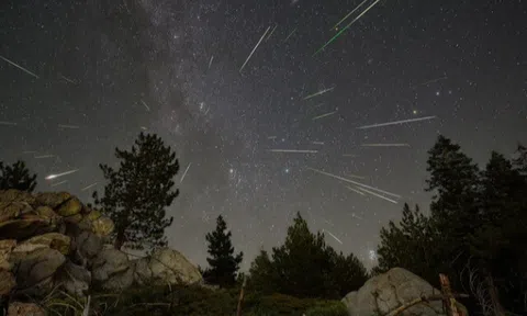 Đêm nay, người Việt Nam bắt đầu ngắm được mưa sao băng kép